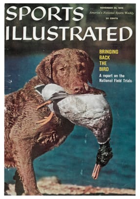 42497 - Cover Image